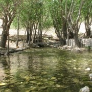 روستای طزرجان