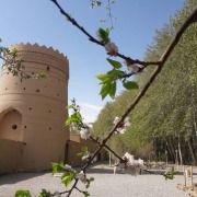 باغ جهانی پهلوانپور