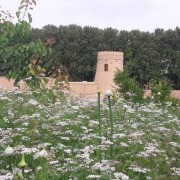 باغ جهانی پهلوانپور