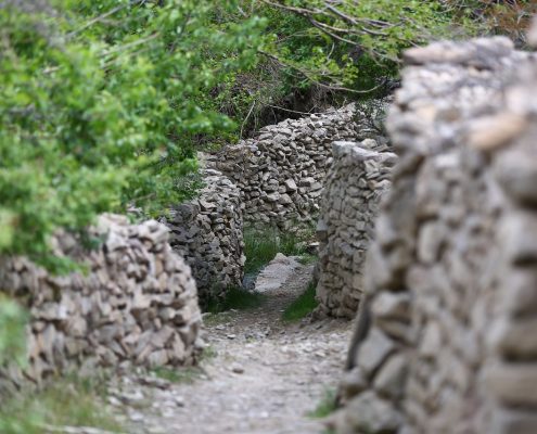روستای باجگان