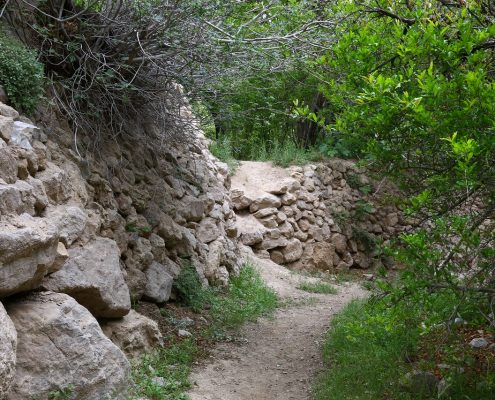 روستای شادکام