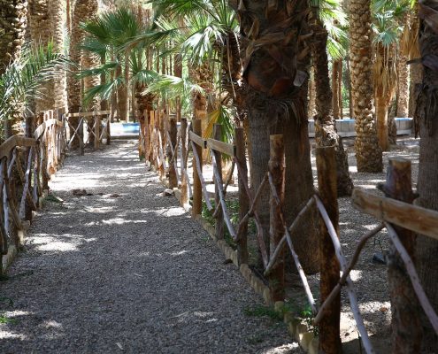 پارک جنگلی اهنشهر